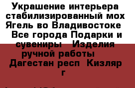 Украшение интерьера стабилизированный мох Ягель во Владивостоке - Все города Подарки и сувениры » Изделия ручной работы   . Дагестан респ.,Кизляр г.